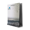 Printed Paper Bag