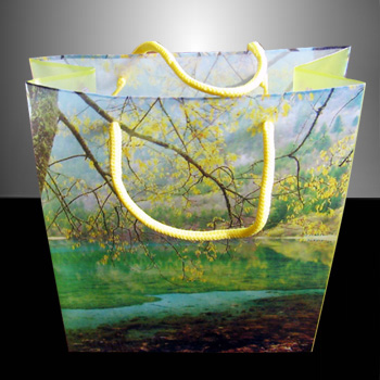 PP Bag05