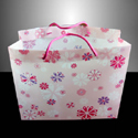 PP Bag06